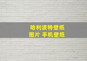 哈利波特壁纸图片 手机壁纸